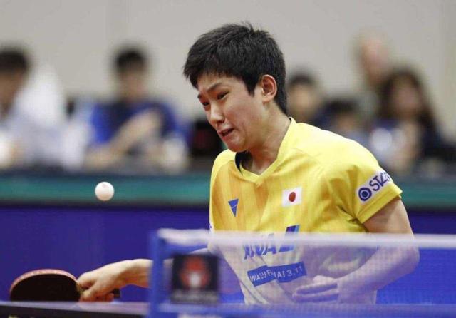 提供了一个 提供了一个